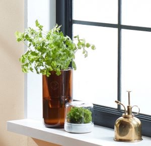 HydroTumbler Greenery