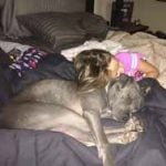 Making a Difference - DALLAS DOGRRR 2 Dog girl