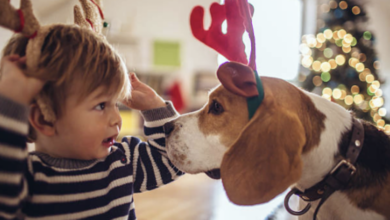 Fur Babies and the Holidays 19 dogs and holidays