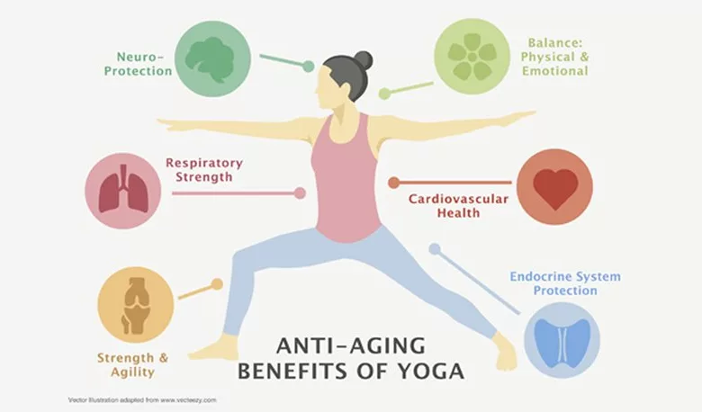 https://fyi50plus.com/wp-content/uploads/2018/12/Anti-Aging-Benefits-of-Yoga-1170x458-780x458.webp