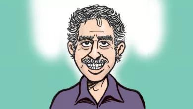 Boomerish Cartoons 1 Greenberg 1170x458