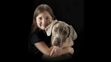 Kids and Dogs 14 dogs 0219 1170