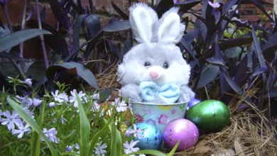 Easter Mysteries Revealed 3 easter 1170x458