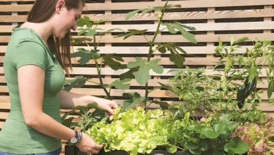 garden 0419 1170x458