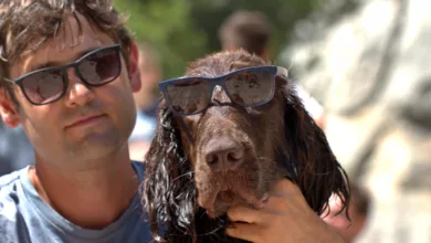 Why People Resemble Their Dogs 8 pet1 1170x458