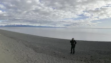 Exploring Alaska, the Last Great Frontier 11 alaska1 1170x458