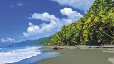 Living the Simple Life...in Sunny Costa Rica 9 costa rica 1170x458