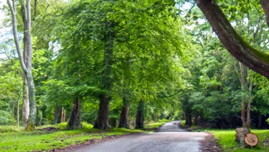 On The Road Again 10 roadagain 1170x458