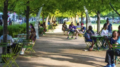 An Urban Oasis Amid the Hustle and Bustle of Downtown Dallas 7 Klyde 1170x458