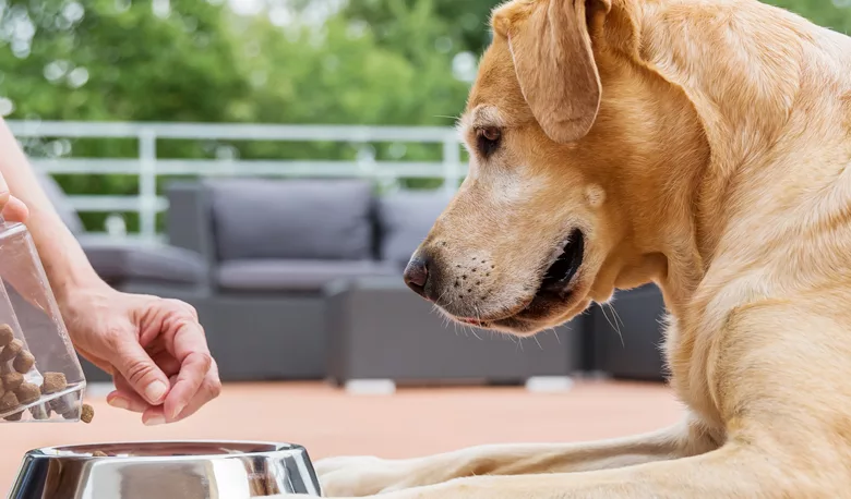 When Buying Pet Food, Check Those Labels! 1 PetLove1 1170x458