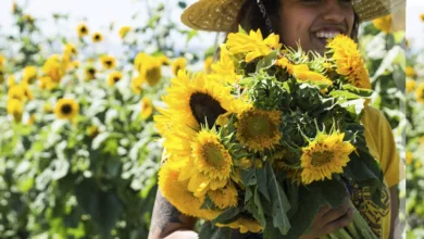 flowers 0919 1170x458