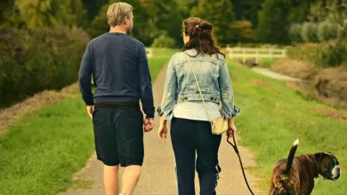 Changing Gears Along the Way 10 gears 1170x458