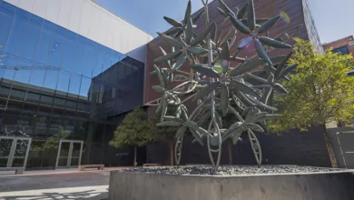 Experience an Immersive Journey Unlike Any Other at the New Dallas Holocaust and Human Rights Museum 2 holocaust 1170x458