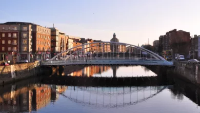 Dipping Your Toes in the ExPat Pond 1 Dublin 1170x458