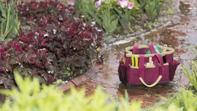 8595203 13881 scaled