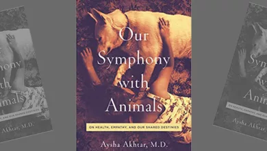 Our Symphony with Animals: On Health, Empathy and Our Shared Destinies 10 SWA 1119 1170x458