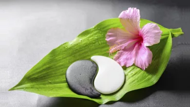 Tai Chi…The Silence Between the Noise 7 TaiChi 1119 1170x458