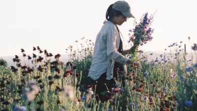 Darkness 0320 1170x458 1