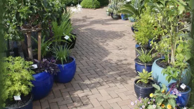 garden 0320 1170x458 1