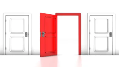 downsized 0320 1170x596 copy