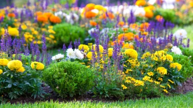 Get Your Gloves On For Gardening 15 gloves 0420 1170x596 copy