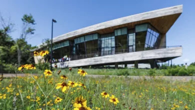 Trinity River Audubon Center 22 Trinity River Audubon Center – one of the best walking trains in the Dallas area