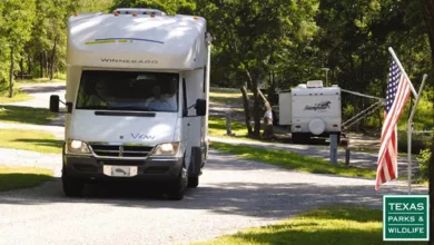 Happy Campers 28 Travel 0720 1170x596 1