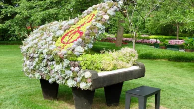 A Beautiful Morning at the Dallas Arboretum 6 arboretum 0620 1170x596 1