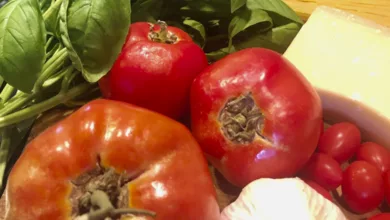 Celebrating the Abundance of the Season