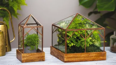 Four Easy Holiday Season Gardening Trends 14 Garden 1120 1170x596 2020