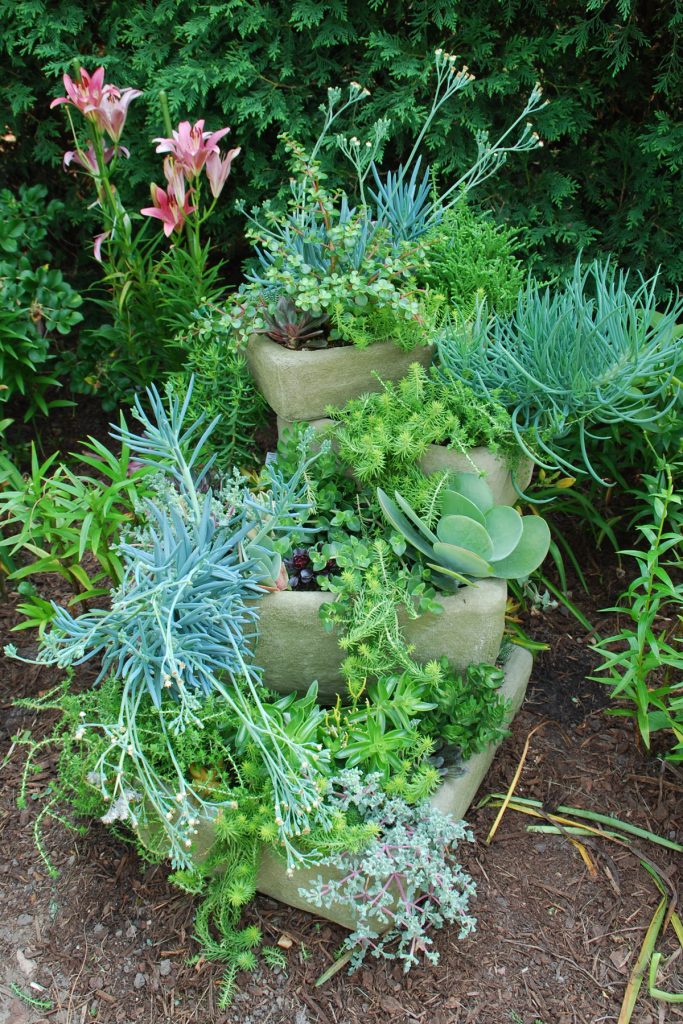 Succulents in stacked troughs