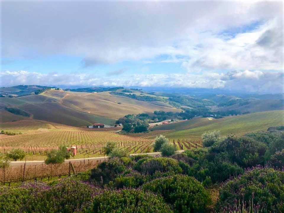Five U.S. Wine Destinations We Can't Wait to Visit Again 2 Paso Robles Wine Country