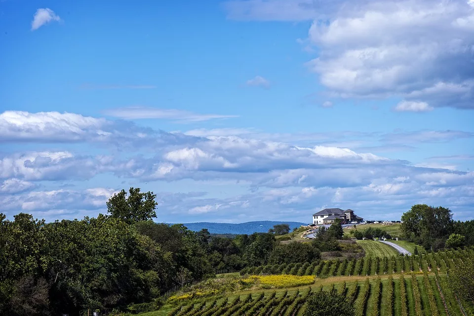Five U.S. Wine Destinations We Can't Wait to Visit Again 4 Shenandoah Valley VA PixaBay jpg