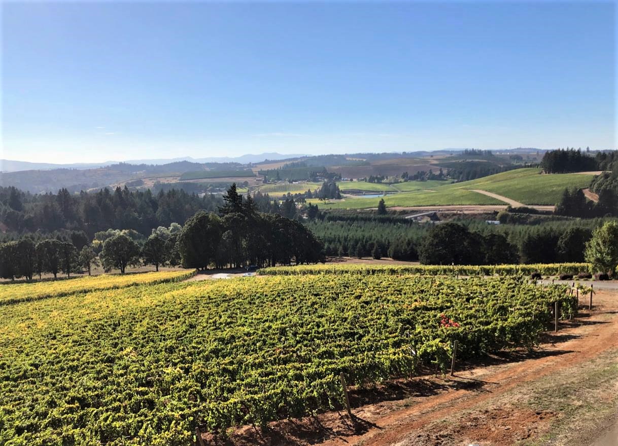 Five U.S. Wine Destinations We Can't Wait to Visit Again 3 Willamette Valley Oregon