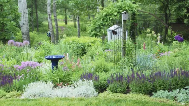 Make Your Yard Friendly for Wildlife! 6 Garden 0321 1170x596 2021