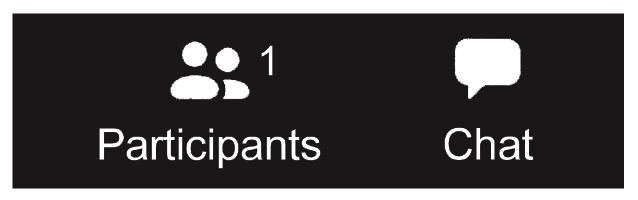 Zoom (Politely) with Friends and Family 2 Screen Shot 2021 03 04 at 12.15.34 PM