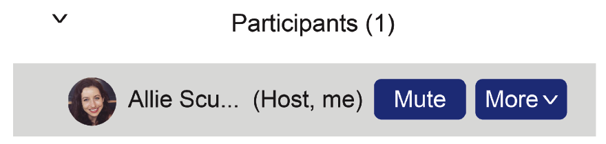 Zoom (Politely) with Friends and Family 3 Screen Shot 2021 03 04 at 12.15.51 PM