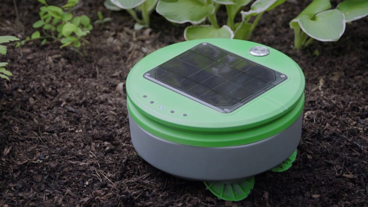 Tertill solar-powered weeding robot