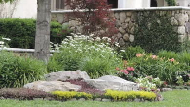 Creating Color in Your Landscape 1 Garden 0521 1170x596 2021