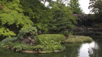 Get Outside: Two Fort Worth Favorites Inspire Outdoor Activity 15 FTW 0521 1170x596 2021