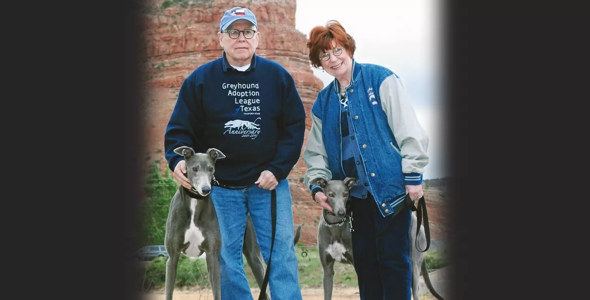 for-the-love-of-the-greys