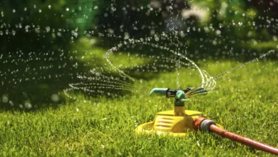 Summer Lawn Secrets 13 LawnCare 0721 1170x596 2021