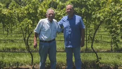 Jerry Mueller: Creating Missouri’s Wine Nirvana 18 MSA 0921 600x450c