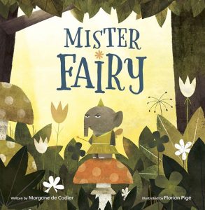 Mister Fairy Ec
