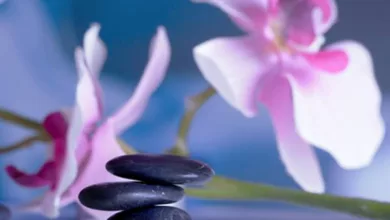 Optimize Your Energy Centers to Feel Good at 50+ 2 Learn about the 7 main energy centers of the body and how to optimize them to feel good at 50+.