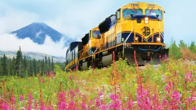 All Aboard the Denali Star 1 Travel Denali 0921 600x450 2021 3 1c