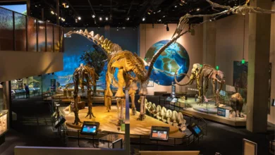 A Museum and a Bite to Eat 19 Museum 1121 600x450 2021 3