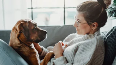 Can Your Pet Save Your Life? 10 Pets 1121 600x450 2021 3