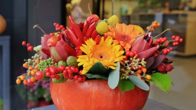 Creative Ways to Use Pumpkins After Halloween 1 Pumpkins 1121 600x450 2021 3