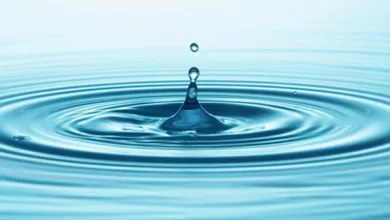 Finding a Sense of Purpose in Retirement 14 Retire 1121 600x450 2021 3